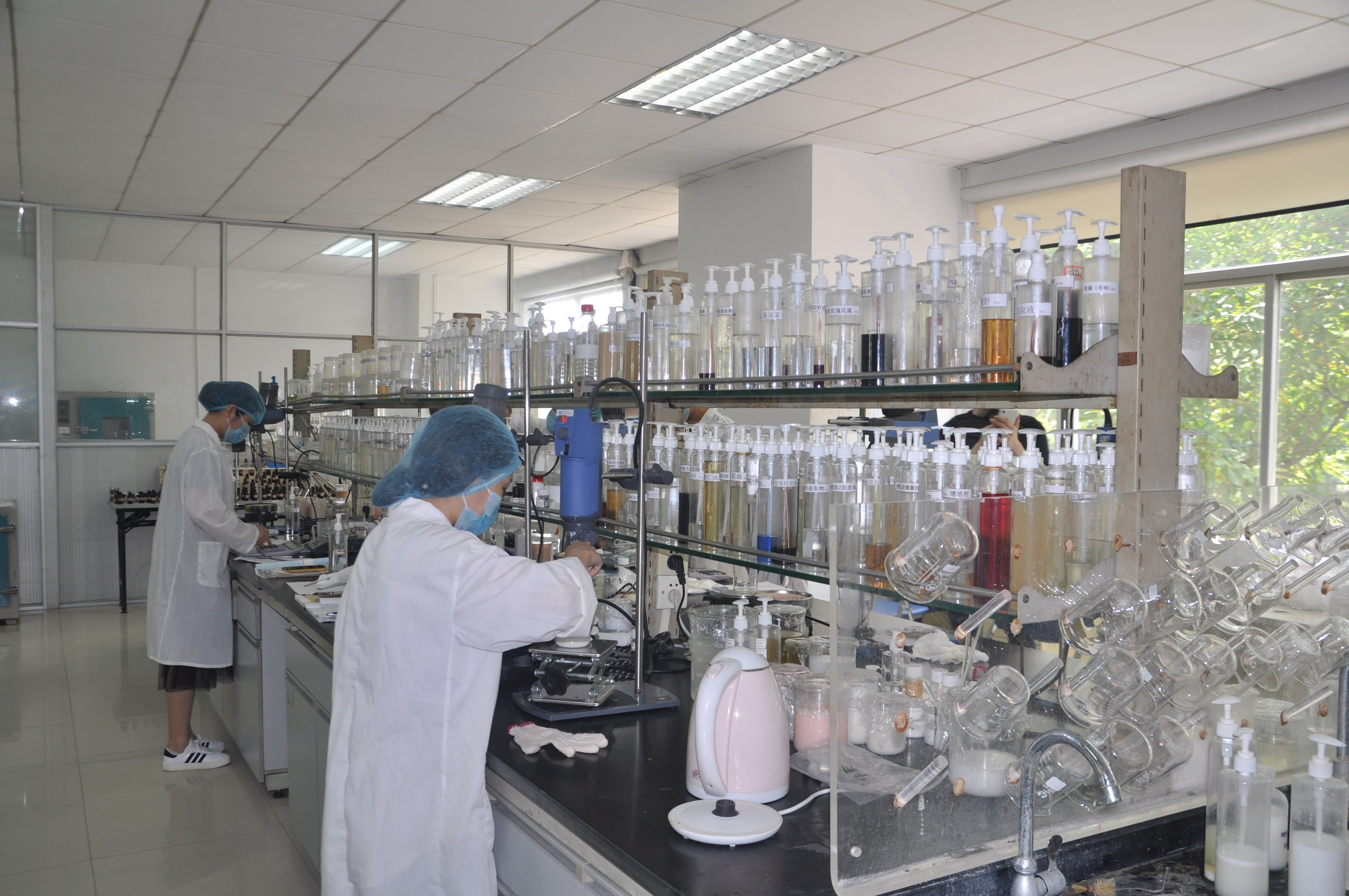 作为人体器官芯片的一种