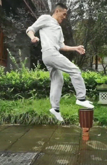 武术少年张成强挑战蜻蜓点水引热议