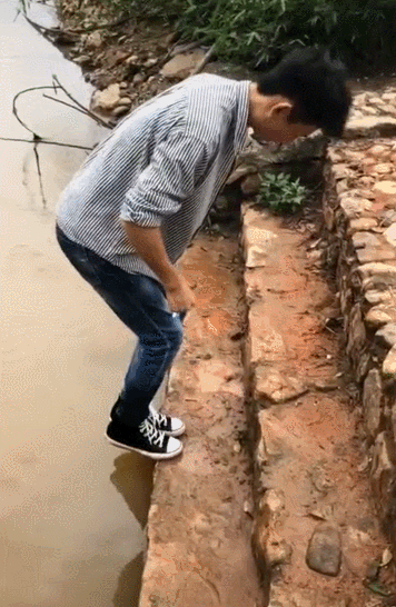 武术少年张成强挑战蜻蜓点水引热议